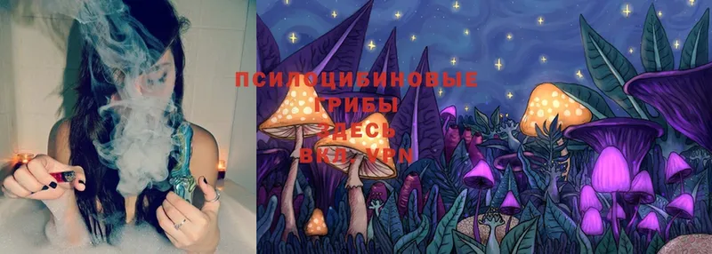 Галлюциногенные грибы Magic Shrooms  darknet Telegram  Игарка 